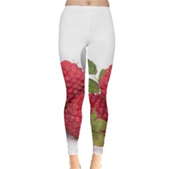 Fruit Healthy Vitamin Vegan Leggings  by BangZart