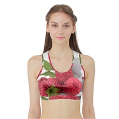 Fruit Healthy Vitamin Vegan Sports Bra With Border by BangZart