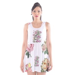 Rose Flowers Campanula Bellflower Scoop Neck Skater Dress by Celenk