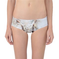 Bird Owl Animal Art Abstract Classic Bikini Bottoms by Celenk