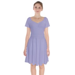 Grey Violet Short Sleeve Bardot Dress by snowwhitegirl