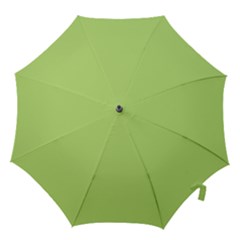 Minty Hook Handle Umbrellas (large) by snowwhitegirl