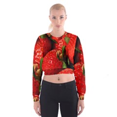 Red Strawberries Cropped Sweatshirt by snowwhitegirl