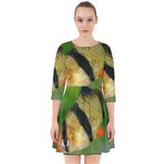 Tiger Barb Smock Dress by trendistuff