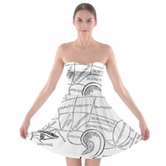 Brain Chart Diagram Face Fringe Strapless Bra Top Dress by Nexatart