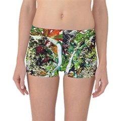 April   Birds Of Paradise 5 Boyleg Bikini Bottoms by bestdesignintheworld