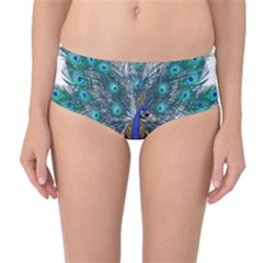 Peacock Bird Peacock Feathers Mid-waist Bikini Bottoms by Sapixe