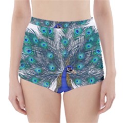 Peacock Bird Peacock Feathers High-waisted Bikini Bottoms by Sapixe