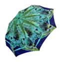 Blue Options 6 Folding Umbrellas View2