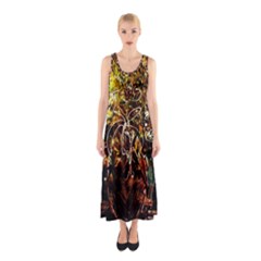 Dscf3438 - Golden Flowers In Ceramics Sleeveless Maxi Dress by bestdesignintheworld