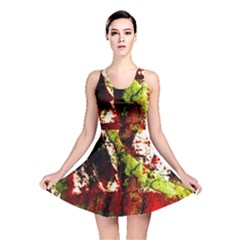 Collosium   Swards And Helmets 4 Reversible Skater Dress by bestdesignintheworld