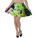 Spooky Attick 10 Velvet Skater Skirt View1