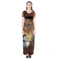 Fractalius Big Cat Animal Short Sleeve Maxi Dress by Simbadda