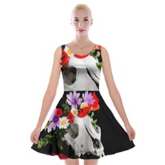 Animal Skull With A Wreath Of Wild Flower Velvet Skater Dress by igorsin