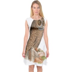 Bird Owl Animal Vintage Isolated Capsleeve Midi Dress by Sapixe