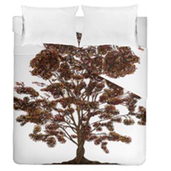 Tree Vector Ornament Color Duvet Cover Double Side (queen Size) by Sapixe