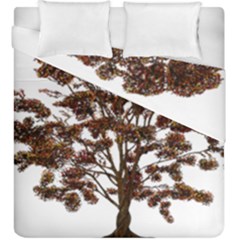 Tree Vector Ornament Color Duvet Cover Double Side (king Size) by Sapixe