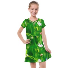 Inside The Grass Kids  Cross Web Dress by FunnyCow