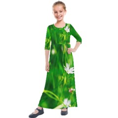 Inside The Grass Kids  Quarter Sleeve Maxi Dress by FunnyCow