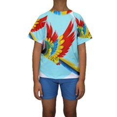 Parrot Animal Bird Wild Zoo Fauna Kids  Short Sleeve Swimwear by Sapixe