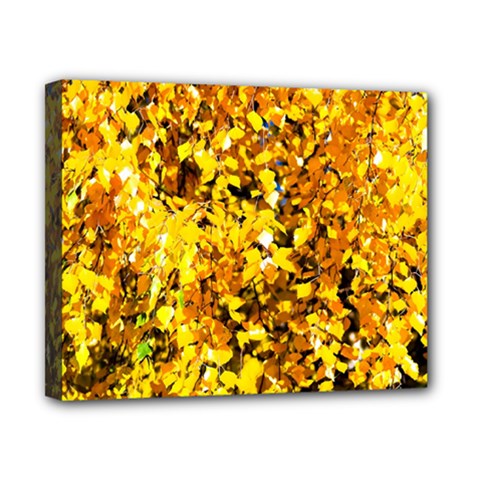 Birch Tree Yellow Leaves Canvas 10  X 8  by FunnyCow