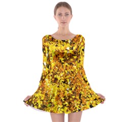 Birch Tree Yellow Leaves Long Sleeve Skater Dress by FunnyCow