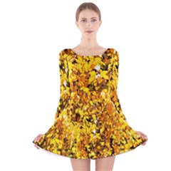 Birch Tree Yellow Leaves Long Sleeve Velvet Skater Dress by FunnyCow