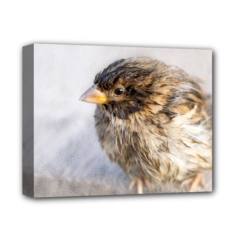 Funny Wet Sparrow Bird Deluxe Canvas 14  X 11  by FunnyCow