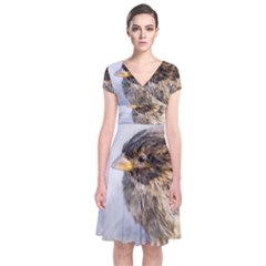 Funny Wet Sparrow Bird Short Sleeve Front Wrap Dress by FunnyCow