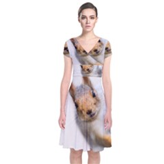 Curious Squirrel Short Sleeve Front Wrap Dress by FunnyCow