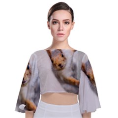 Curious Squirrel Tie Back Butterfly Sleeve Chiffon Top by FunnyCow