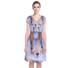 Squirrel Looks At You Short Sleeve Front Wrap Dress by FunnyCow