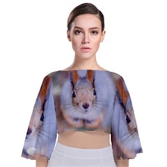 Squirrel Looks At You Tie Back Butterfly Sleeve Chiffon Top by FunnyCow