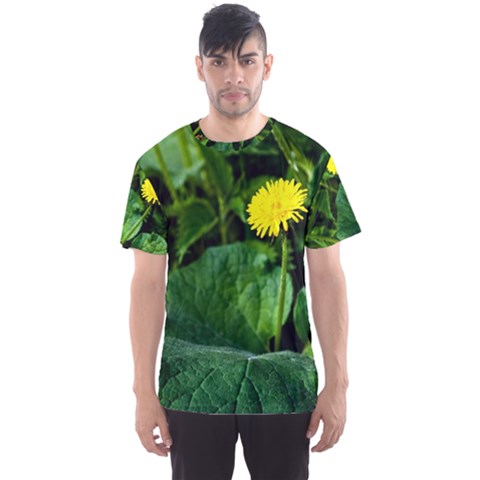 Yellow Dandelion Flowers In Spring Men s Sports Mesh Tee by FunnyCow