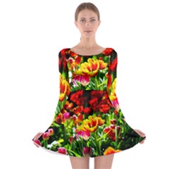 Colorful Tulips On A Sunny Day Long Sleeve Skater Dress by FunnyCow