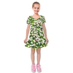 Green Field Of White Daisy Flowers Kids  Short Sleeve Velvet Dress by FunnyCow