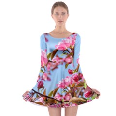 Crab Apple Blossoms Long Sleeve Skater Dress by FunnyCow