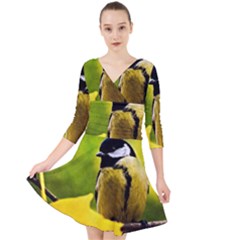 Tomtit Bird Dressed To The Season Quarter Sleeve Front Wrap Dress by FunnyCow