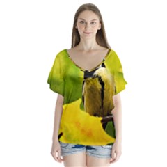 Tomtit Bird Dressed To The Season V-neck Flutter Sleeve Top by FunnyCow