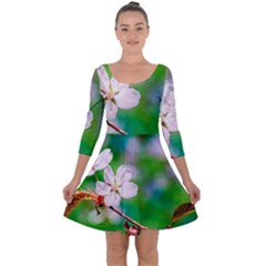 Sakura Flowers On Green Quarter Sleeve Skater Dress by FunnyCow