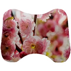 Blooming Almond At Sunset Head Support Cushion by FunnyCow