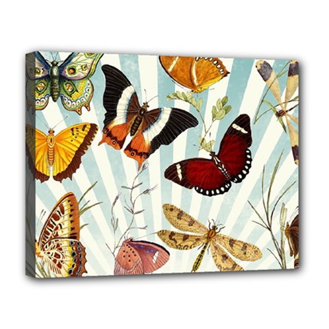 Butterfly 1064147 960 720 Canvas 14  X 11  (stretched) by vintage2030