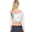 Background 1362160 1920 Long Sleeve Crop Top View2