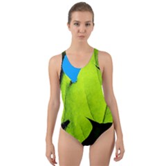 Window Of Opportunity Cut-out Back One Piece Swimsuit by FunnyCow