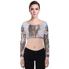 Bird 2552769 1920 Velvet Crop Top by vintage2030