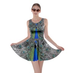 Peacock Bird Animals Pen Plumage Skater Dress by Sapixe