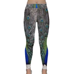 Peacock Bird Animals Pen Plumage Classic Yoga Leggings by Sapixe