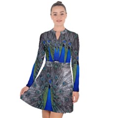 Peacock Bird Animals Pen Plumage Long Sleeve Panel Dress by Sapixe