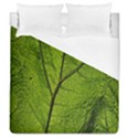 Butterbur Leaf Plant Veins Pattern Duvet Cover (Queen Size) View1