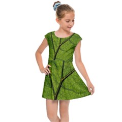 Butterbur Leaf Plant Veins Pattern Kids Cap Sleeve Dress by Sapixe